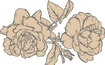 rosa_ill